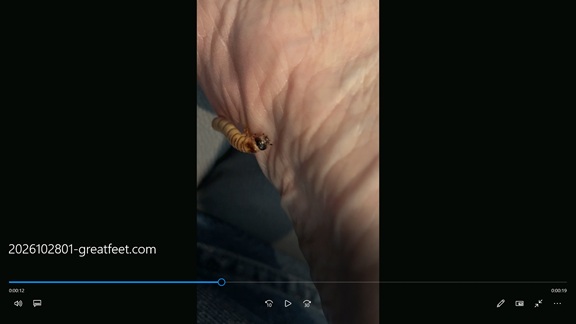 foot fetish video